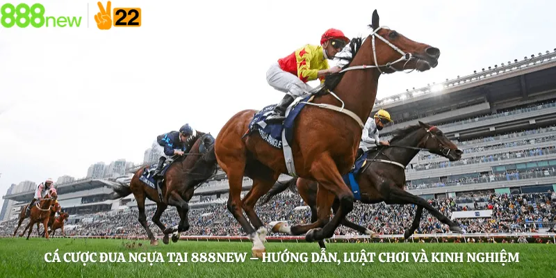 Cá Cược Đua Ngựa Tại 888new – Hướng Dẫn, Luật Chơi Và Kinh Nghiệm