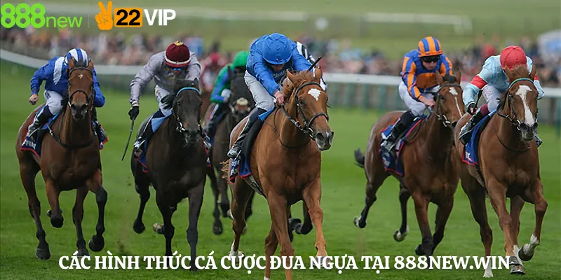 Các Hình Thức Cá Cược Đua Ngựa Tại 888new.win