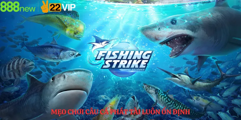 Mẹo Chơi Câu Cá Phát Tài Luôn Ổn Định