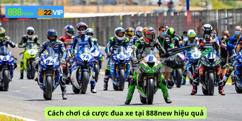 Cách chơi cá cược đua xe tại 888new hiệu quả