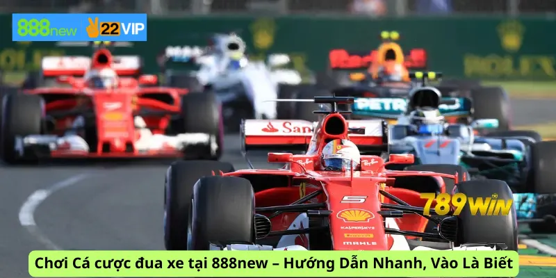 Chơi Cá cược đua xe tại 888new – Hướng Dẫn Nhanh, Vào Là Biết